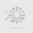 ماساژور برقی مدل KH-740